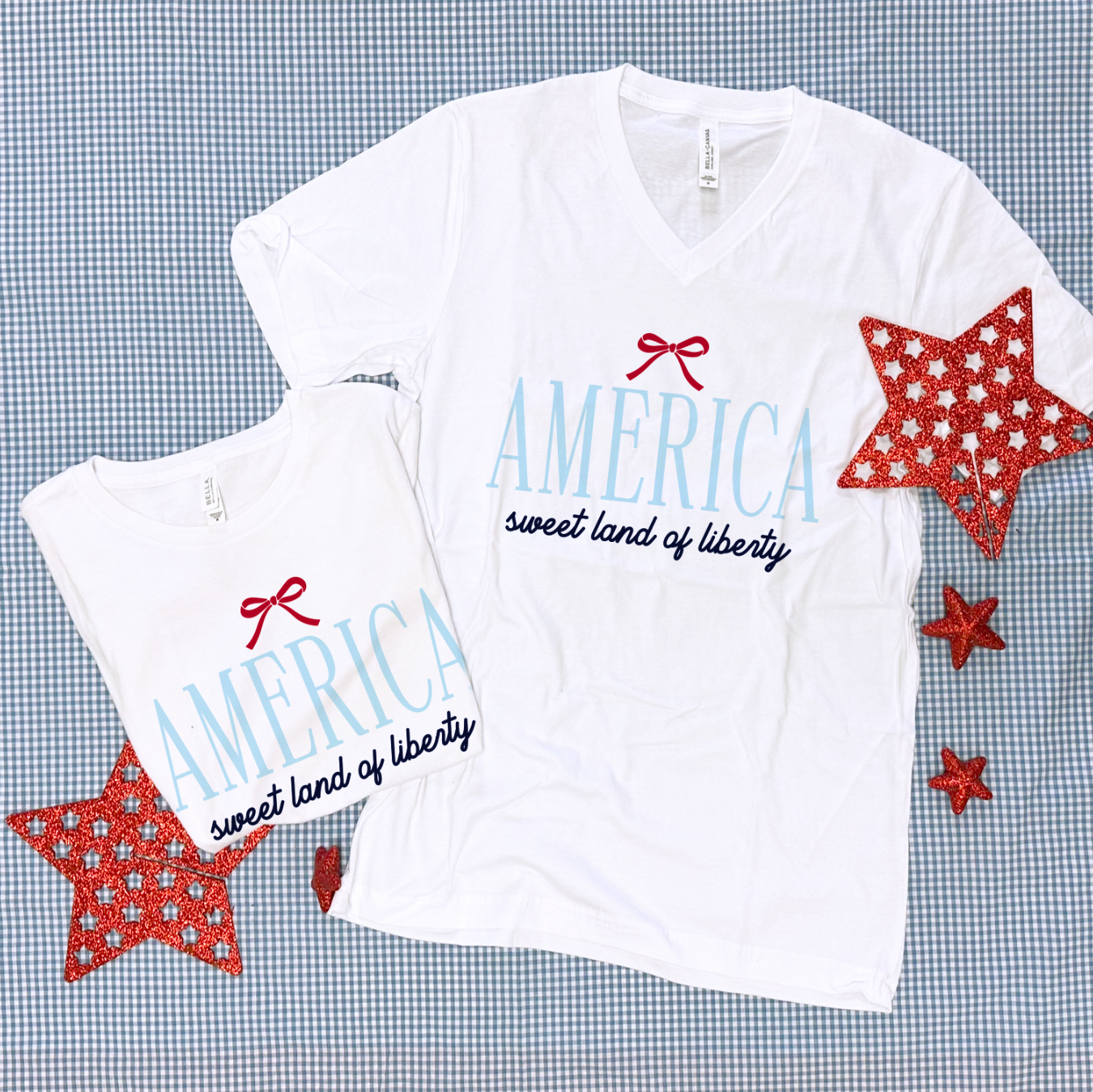 AMERICAN SPIRIT 2025: America, Simple Bow (BELLA CANVAS VNECK OR CREW NECK)