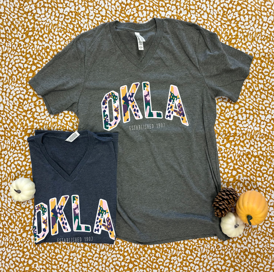 OKLAHOMA 2025: OKLA Vincent Fall Abstract (BELLA CANVAS VNECK)